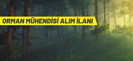 Orman Genel Müdürlüğü 22 Orman Mühendisi alacak