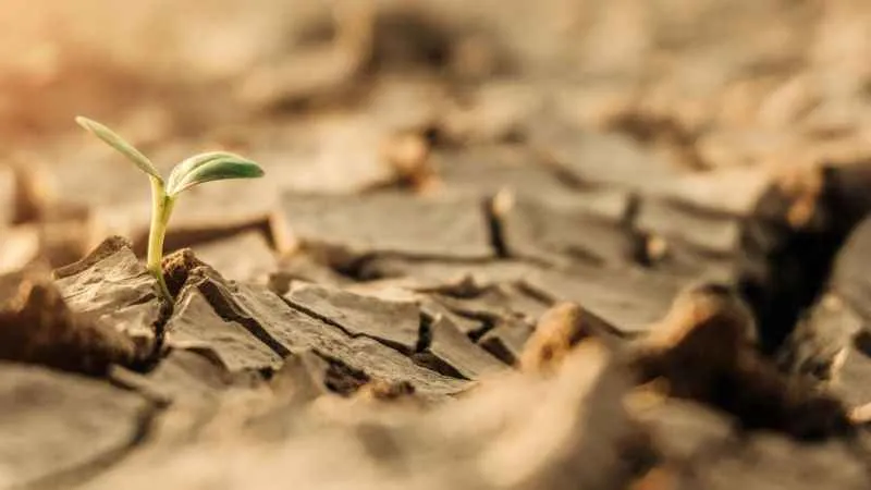 Ülkemizin yüzde 73.4’ü çölleşme tehlikesi altında