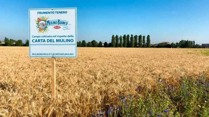 Barilla, sürdürülebilirlik, yenilik ve gezegenin korunması için 5 yıl içinde 1 milyar euro yatırım yapacak