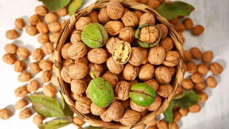 Lezzetli ve kaliteli cevizi anlamak için 5 ipucu