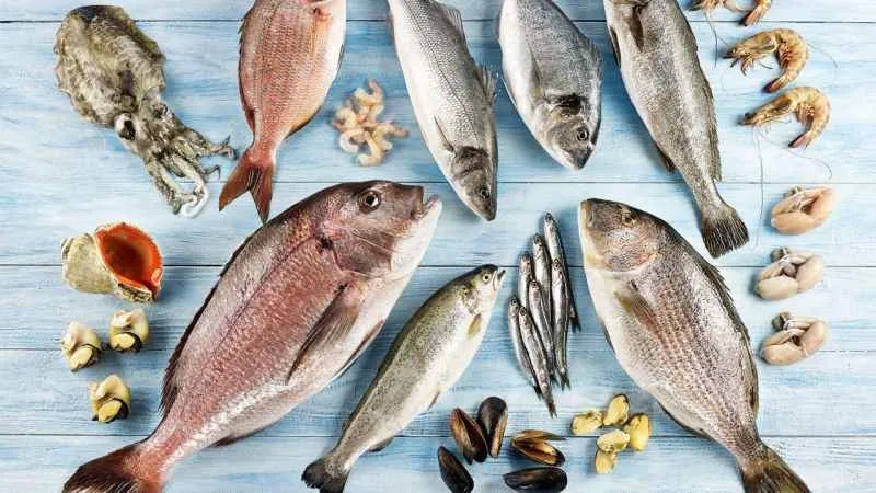 Türkiye’nin 6 aylık su ürünleri ihracatı 829 milyon dolara ulaştı