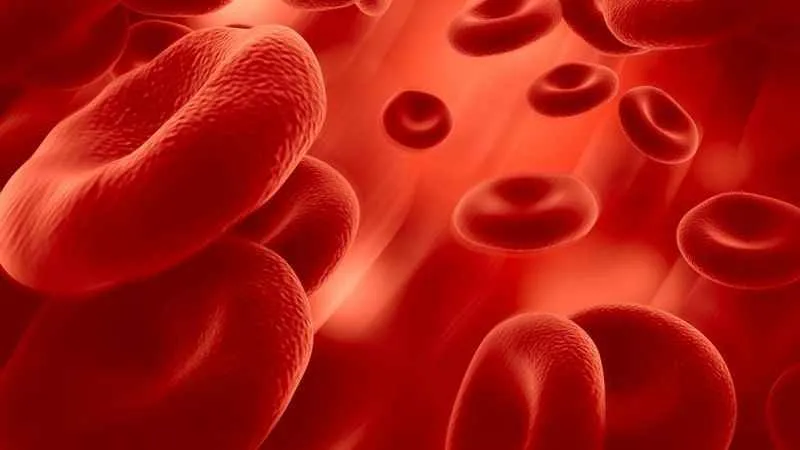 Damar Sağlığını Korumak İçin 5 Öneriye Dikkat !