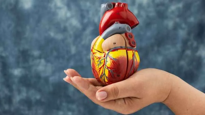 Kolesterolünüzün huyu iyi mi kötü mü?