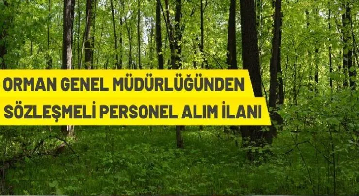 Orman Genel Müdürlüğü 283 Orman Mühendisi alacak