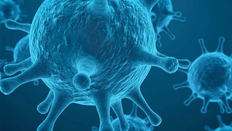 Türkiye’de maymun vakası var mı? Resmi açıklama geldi mi? Hangi ülkelerde kaç vaka var?