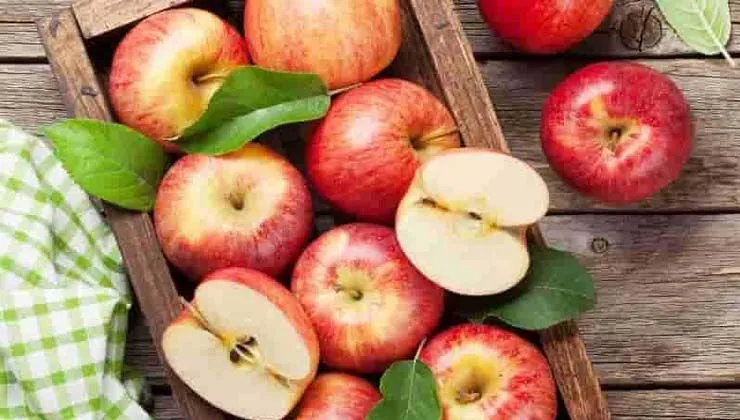 Elma tüketmek obeziteden cilt güzelliğine kadar her derde deva oluyor