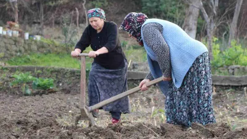 Gençler tarlaya girmiyor