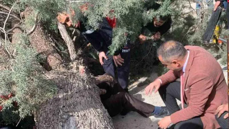 Burdur’da üzerine ağaç devrilen belediye başkan adayı ve oğlu ağır yaralandı