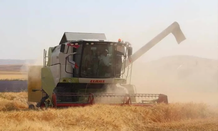 Siirt’te son 20 yılın en bereketli hasadı