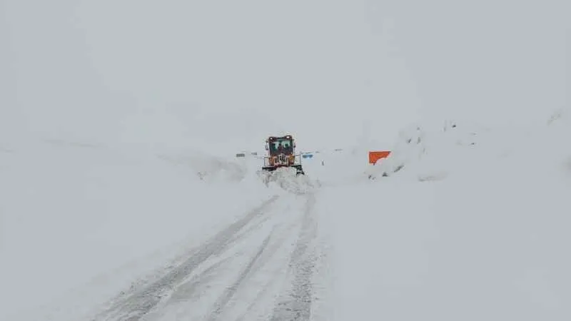 Muş’ta 85 kişi mahsur kaldı