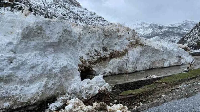 Siirt’te kar nedeniyle yolda mahsur kalan araçlar kurtarıldı