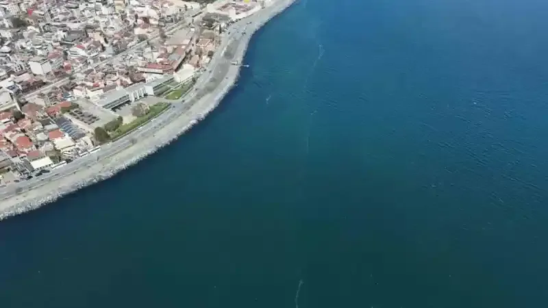 Kilometrelerce uzunlukta denizanası istilası