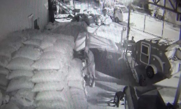 Hırsızlar 5 dakikada 20 bin liralık harnup çaldı