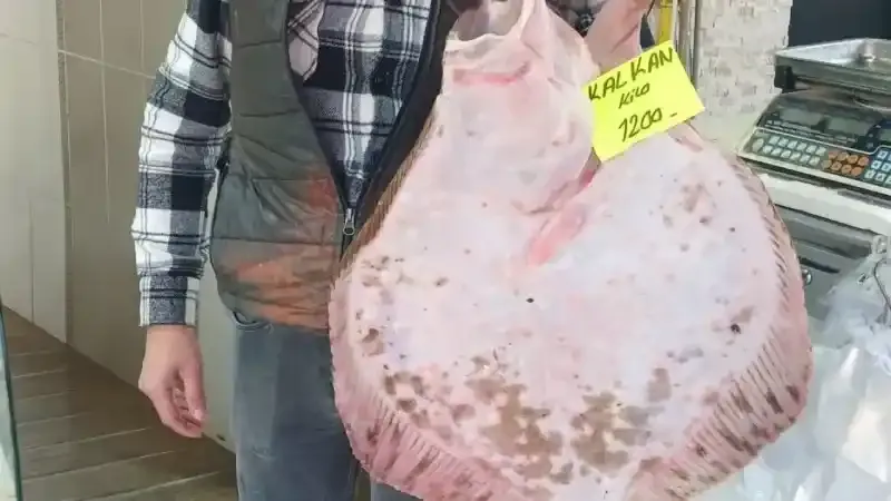 Kilosu 1200 liradan tezgaha indi, ilgi odağı oldu