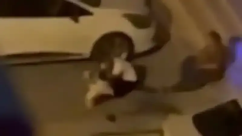 Adana’da evden kaçan pitbull dehşeti kamerada: Sahibini ve 2 kişiyi yaraladı