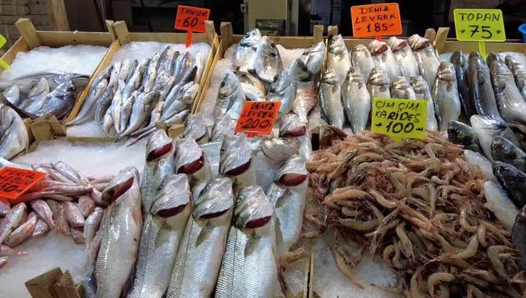 Ege’de balık tezgahları doldu, fiyatlar düştü