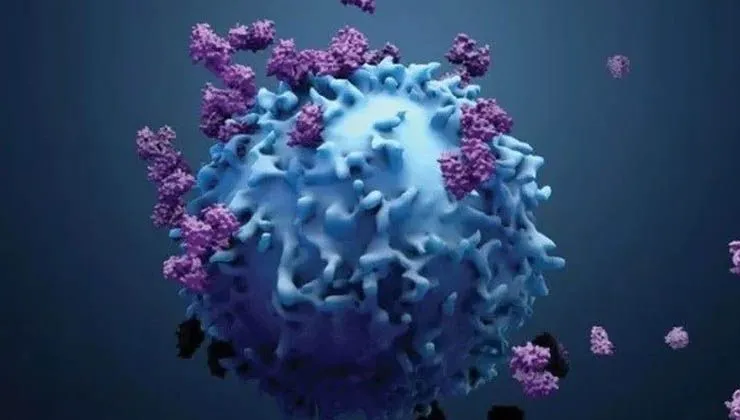 Güçlü bir bağışıklık sistemi, kanseri durdurabilir mi?