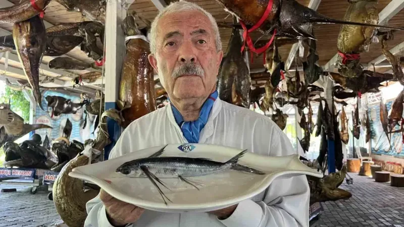 Marmara Denizi açıklarında uçan balık yakalandı