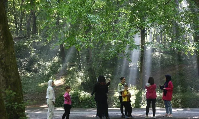 Eyüpsultan’da kişi başına 15 metrekare yeşil alan düşüyor