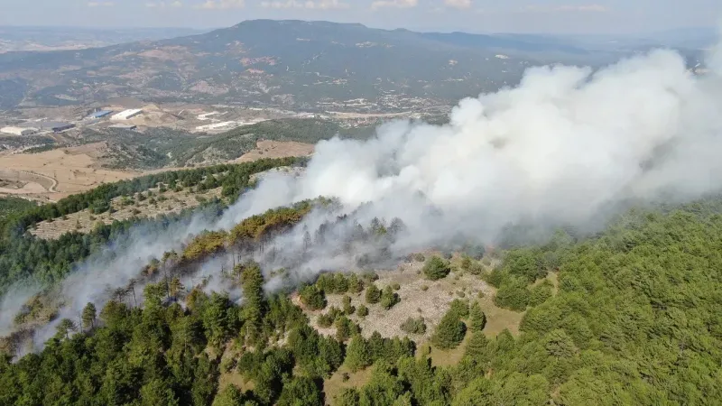 Kastamonu’daki orman yangını kontrol altına alındı, Karabük’teki orman yangınında alevler yayılıyor