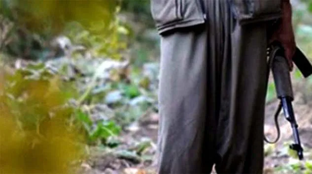 1 milyon TL ödülle aranan Hayri Mava kod adlı terörist yaralı olarak ele geçirildi