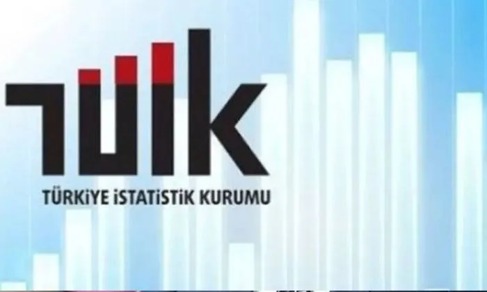 Türkiye İstatistik Kurumu (TÜİK) nedir? Türkiye İstatistik Kurumu ne iş yapar?