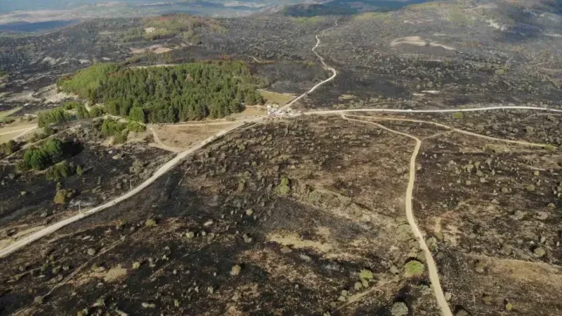 Ankara’dan Bolu’ya sıçrayan yangın 22 saat sonra kontrol altına alındı