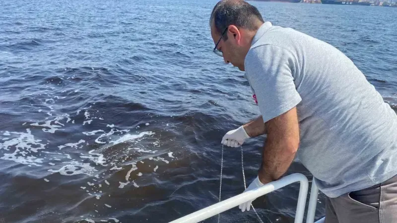 Çevre ve Şehircilik Bakanlığı’ndan İzmir Körfezi’ndeki balık ölümlerine inceleme