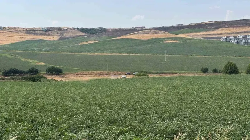 Kayıp Narin köye yakın gölet yanında çuval içinde bulundu