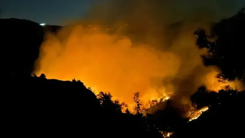 Hatay’da orman yangını