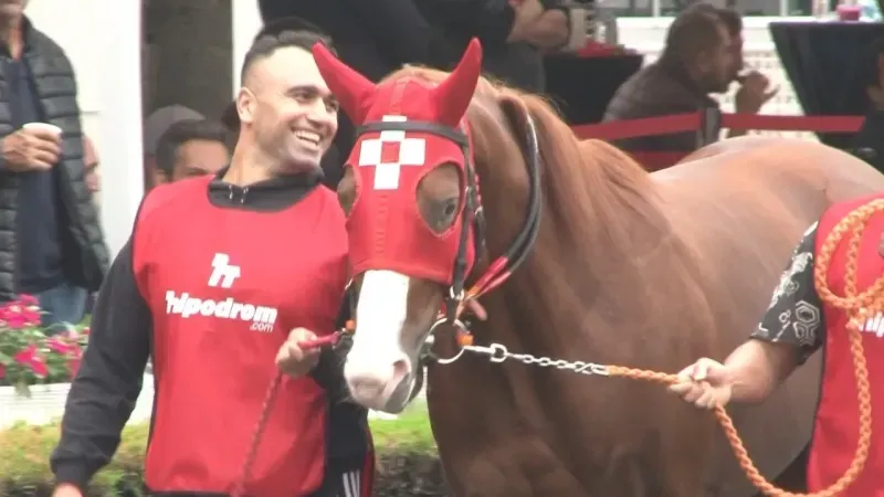 Kendilerinden önce fiyatları koştu, safkan 30 taydan sadece 3’ü satıldı