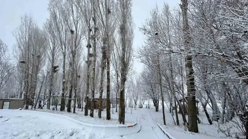 Ağrı dondu: Eksi 15’i gördü