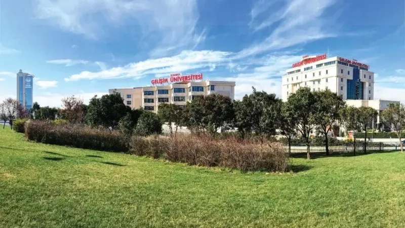 Doktora programlarında yeni dönem