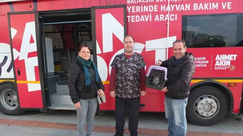 Balıkesir’de sokak hayvanları çok şanslı