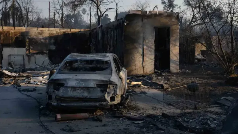 Orman yangınlarında ölü sayısı 11’e yükseldi