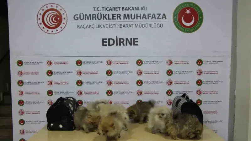 Ticaret Bakanlığı yasa dışı ticarete engel oldu