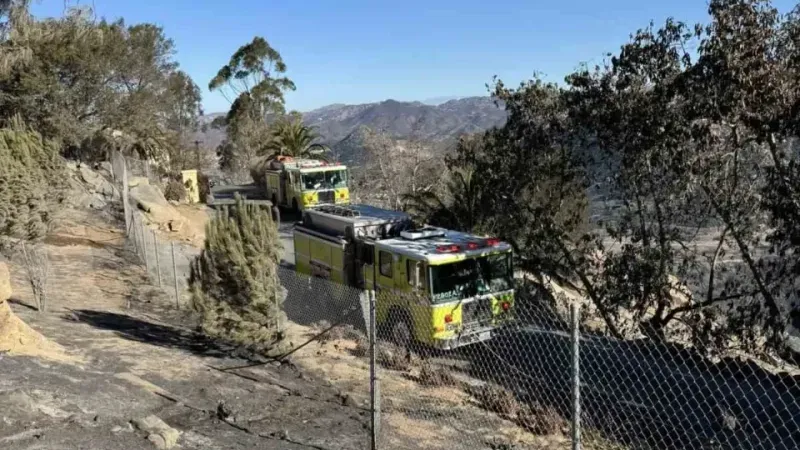 Los Angeles'taki orman yangınlarında ölü sayısı 28’e yükseldi