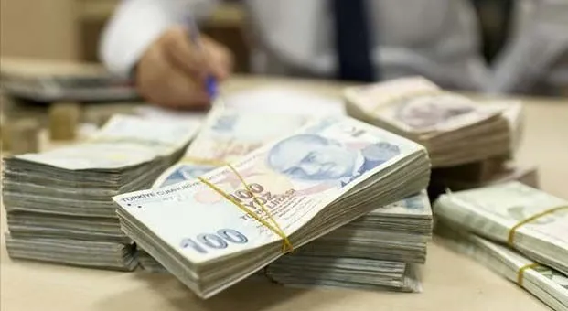 BES’te yabancı para cinsinden devlet katkısı oranı yüzde 10 olarak belirlendi