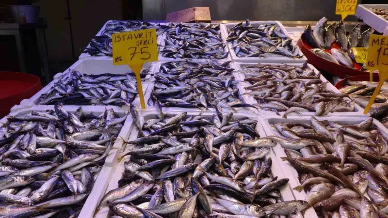 Balık avı sezonu 15 Nisan’da sona erecek