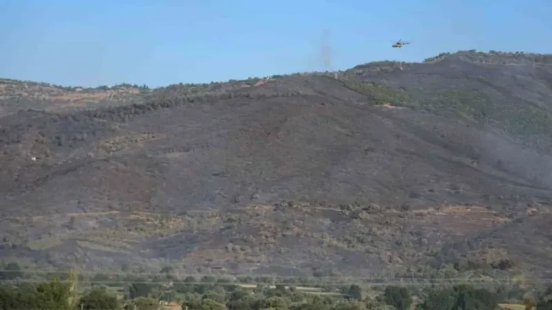 3 gündür devam eden orman yangını sonrası Ödemiş’in dağları siyaha büründü