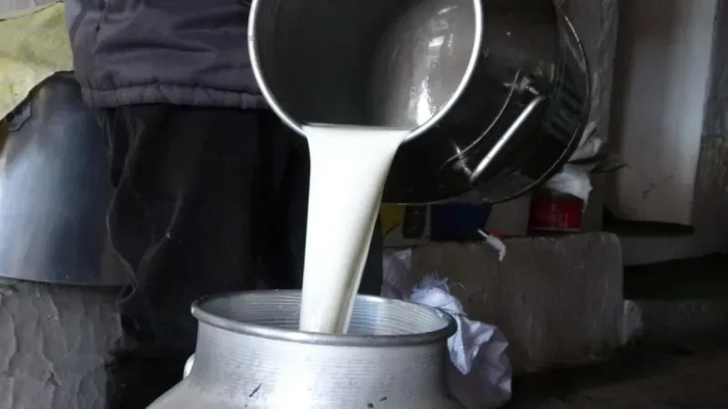 Çiğ süt fiyatları belli oldu