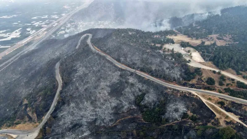 Yanan 3 bin hektar orman için 100 yıl gerekiyor