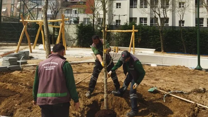 Ümraniye’de iklim krizine karşı 40 bin ağaç toprakla buluştu