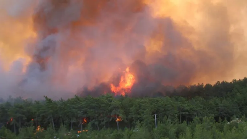Orman yangınlarında 9 günde 7 ilde 132 bağımsız birim ağır hasar gördü