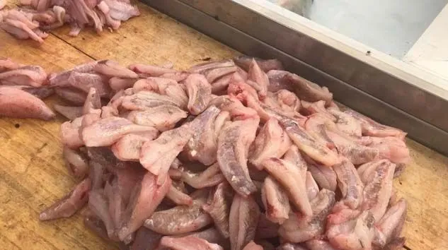 Dışı zehirli içi lezzetli olarak bilinen balığın adı nedir