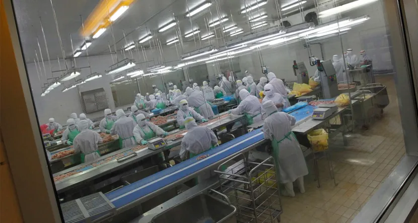 Kabus hortladı! 460 bin tavuk itlaf edilecek