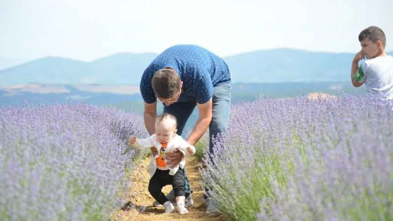 Tekirdağ'da mor turizm başladı