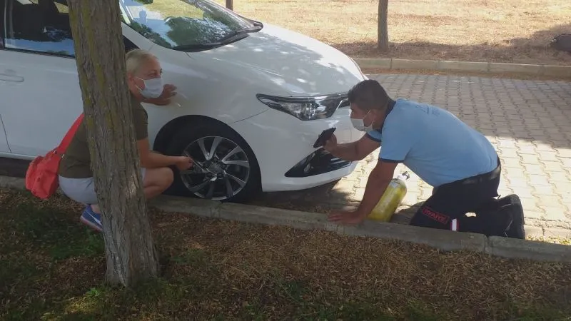 İnatçı kedi çileden çıkardı