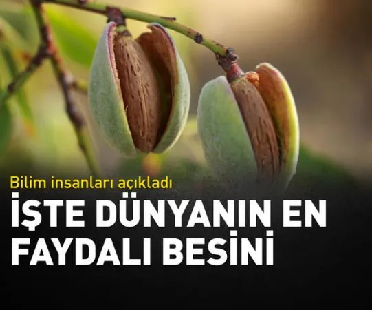 Dünyanın en faydalı besini olduğu ortaya çıktı!