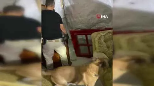 Van’da bölücü terör örgütüne yapılan operasyonda 3 terörist yakalandı